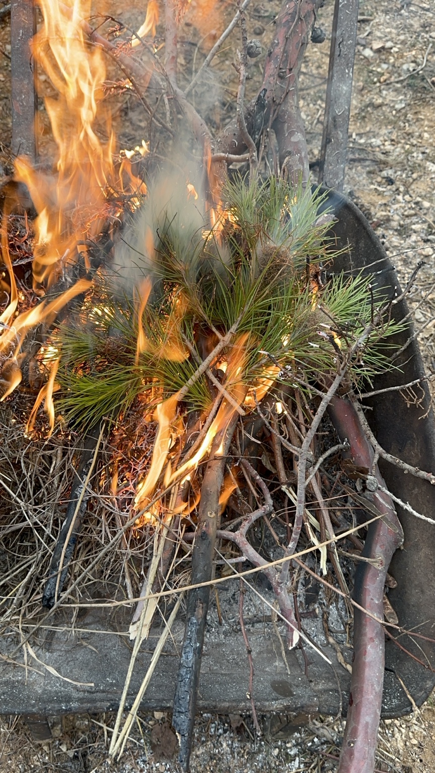 Φλόγες και καπνός σε συγκεντρωμένα κλαδιά και πευκοβελόνες, σε κοντινή λήψη που δεν δείχνει την έκταση ή την αιτία της καύσης.