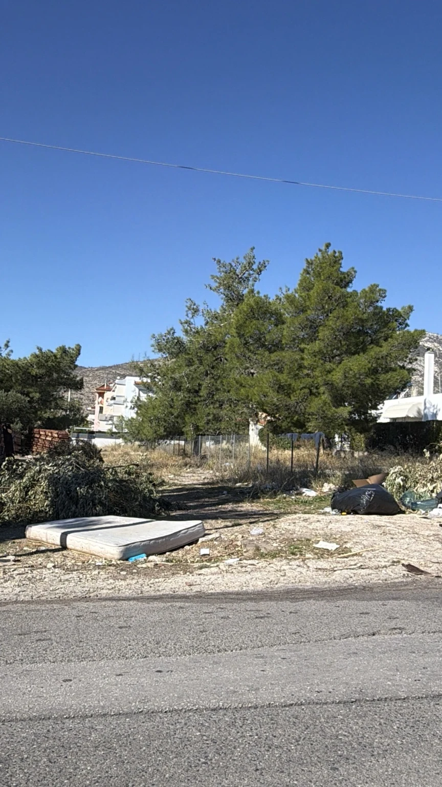 Πεταμένο στρώμα, σακούλες, διάσπαρτα απορρίμματα και σωροί κλαδιών δίπλα σε δρόμο, με πεύκα και κατοικίες στο βάθος.